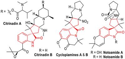 Green and Facile Synthesis of Spirocyclopentanes Through NaOH-Promoted Chemo- and Diastereo-Selective (3 + 2) Cycloaddition Reactions of Activated Cyclopropanes and Enamides